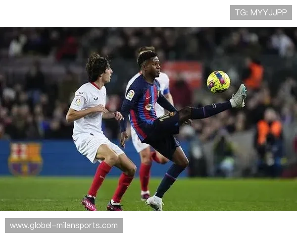 布莱顿前插选择多样 布莱顿前插选择多样